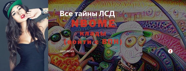 прущие грибы Вязники